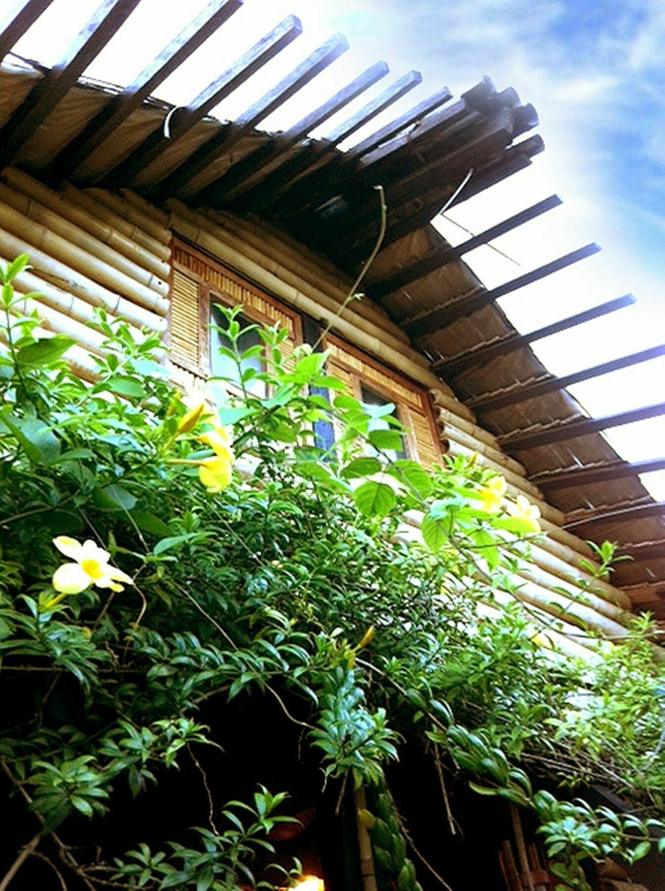 The Village House Puerto Princesa Exterior photo